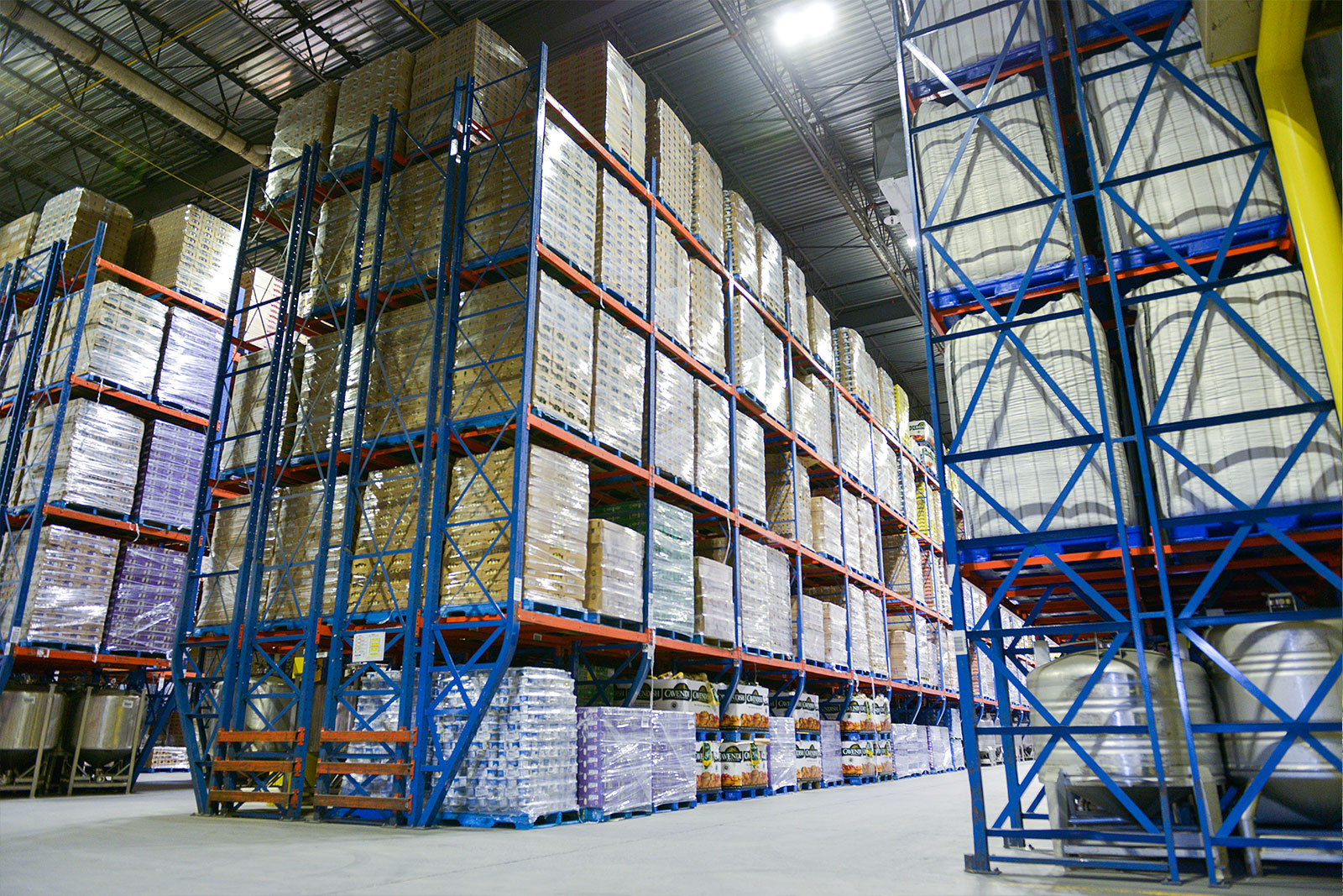 robert histoire image03